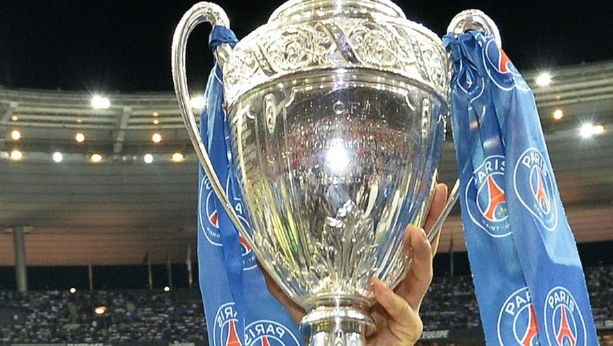 Le trophée de la Coupe de France remporté par le PSG devant Guingamp, le 30 mai 2015 au Stade de France, à Saint-Denis