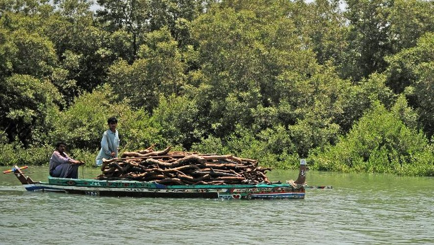 Des pêcheurs pakistanais naviguent le 29 avril 2014 sur l'Indus, rivière qui serpente au milieu de la mangrove