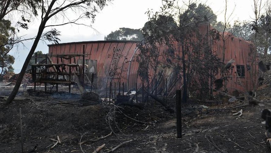 Vue générale de zones boisées ravagées par des incendies à l'est d'Adelaïde (Australie), le 3 janvier 2015
