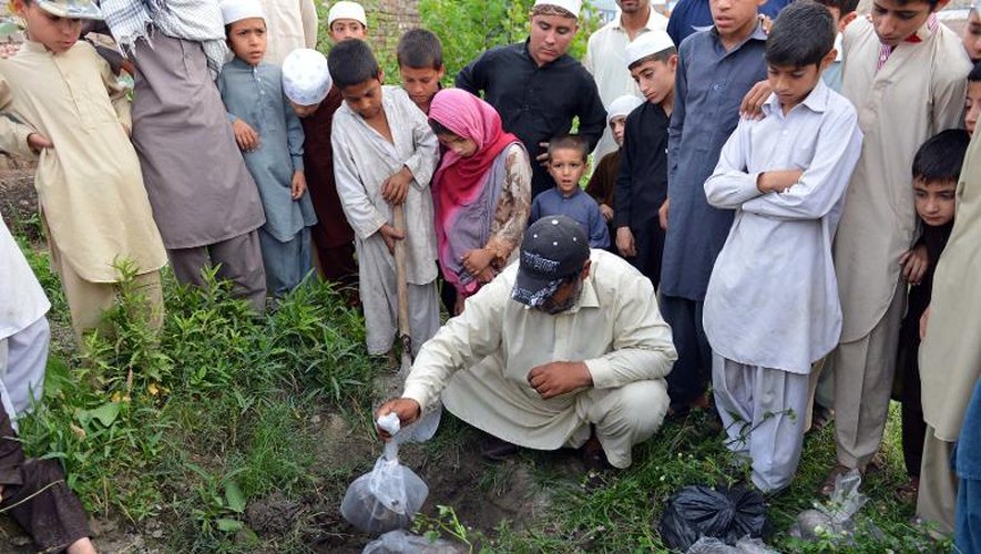 Naseer Ahmad enterre des rats morts emballés dans des sacs plastiques le 18 mai 2014 à Peshawar alors qu'il lutte contre la prolifération des rongeurs dans la ville pakistanaise
