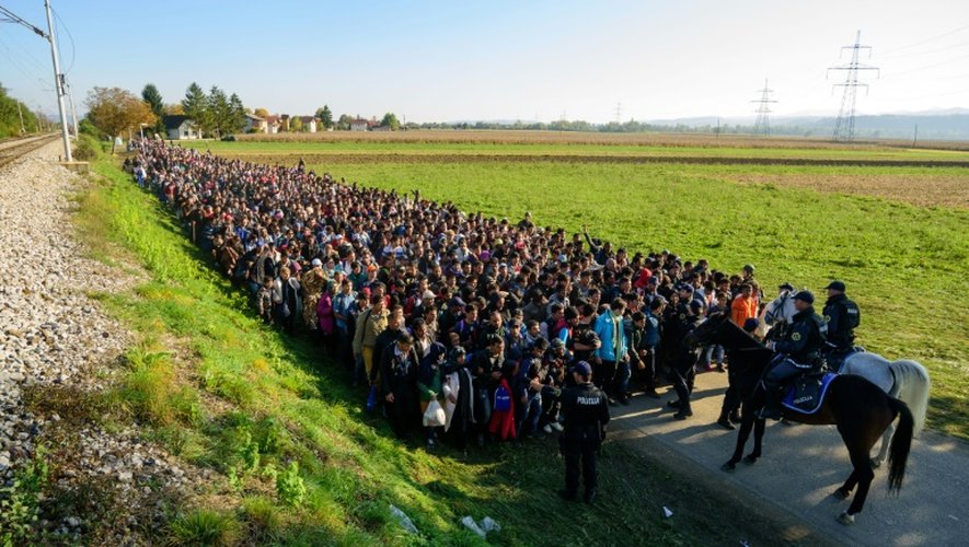 La police escorte des migrants et des réfugiés après avoir traversé la frontière entre la Croatie et la Slovénie, le 24 octobre 2015