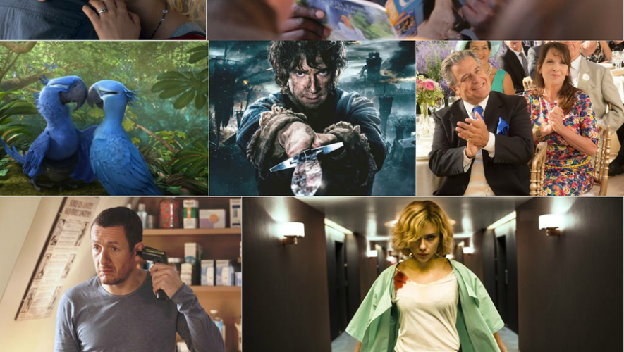 Cap'Cinéma Rodez : les films les plus vus en 2014