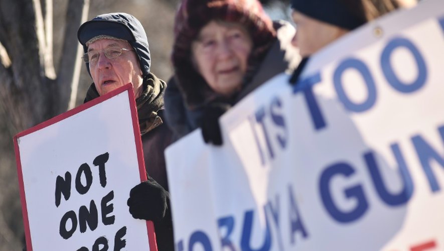 Des manifestants réclament des lois "raisonables" sur les armes à feu le 4 janvier 2016 devant la Maison Blanche à Washington
