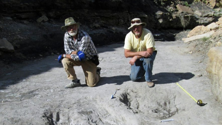Une photo fournie par le groupe Nature montre les chercheurs Martin Lockley (D) et Ken Cart à genoux devant des traces fossiles datant du Crétacé dans l'Etat du Colorado où ont vécu des théropodes, un groupe de dinosaures, le 7 janvier 2016
