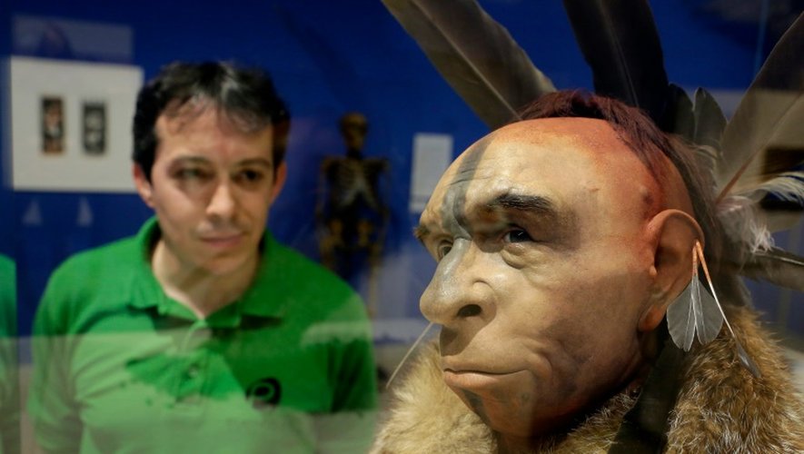 Un visiteur regarde une reconstitution scientifique du visage d'un homme de Néandertal, au Musée de l'évolution humaine de Burgos le 10 juin 2014