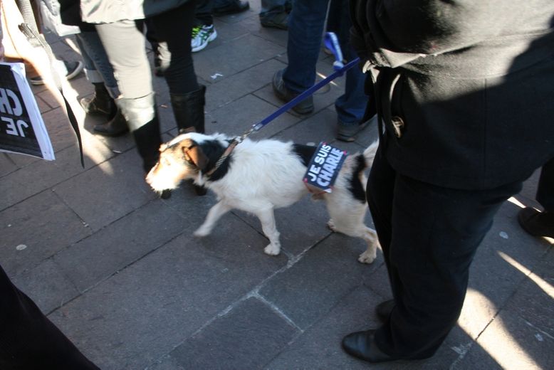 DIRECT. "Je suis Charlie" : plus de 25 000 Aveyronnais dans la rue