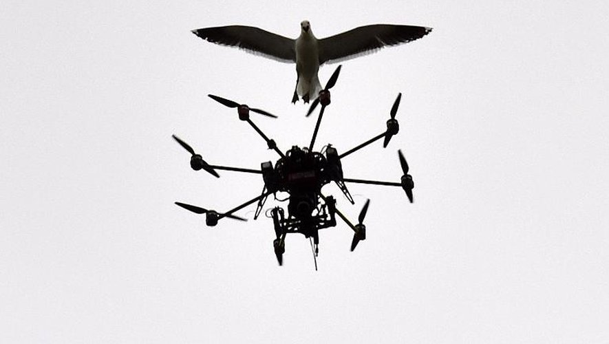 Une mouette vole au-dessus d'un drone qui prend des images d'un match de cricket à Wellington, en Nouvelle-Zélande, le 7 janvier 2015