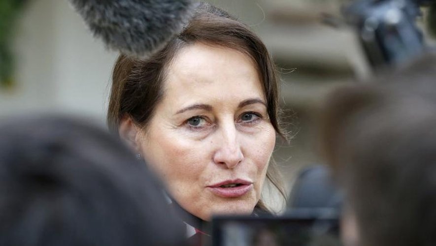 La ministre de l'Ecologie et de l'Energie, Ségolène Royal, le 22 décembre 2014 à Paris
