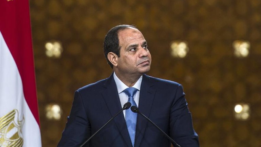 Le président égyptien Abdel-Fattah al-Sissi lors d'une conférence de presse au Caire le 8 novembre 2014