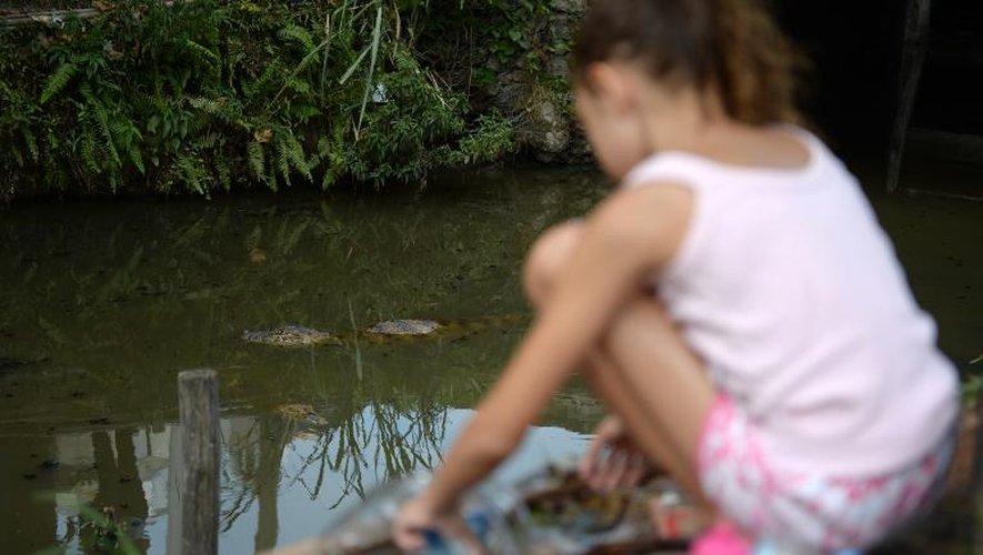 Une jeune habitante du quartier Recreio dos Bandeirantes dans l'ouest de Rio (Brésil), le 29 janvier 2015, regarde des caïmans qui nagent dans des eaux croupissantes