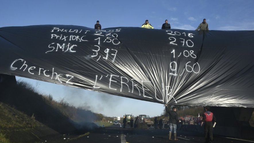 Des agriculteurs manifestent le 28 janvier 2016 sur une autoroute près de Saint-Étienne-en-Coglès (Ille-et-Vilaine)