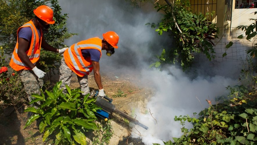 Opération de fumigation contre les moustiques du genre Aedes aegypti ou Aedes albopictus (moustique tigre), vecteur de propagation du virus Zika, le 23 janvier 2016 à Saint Domingue