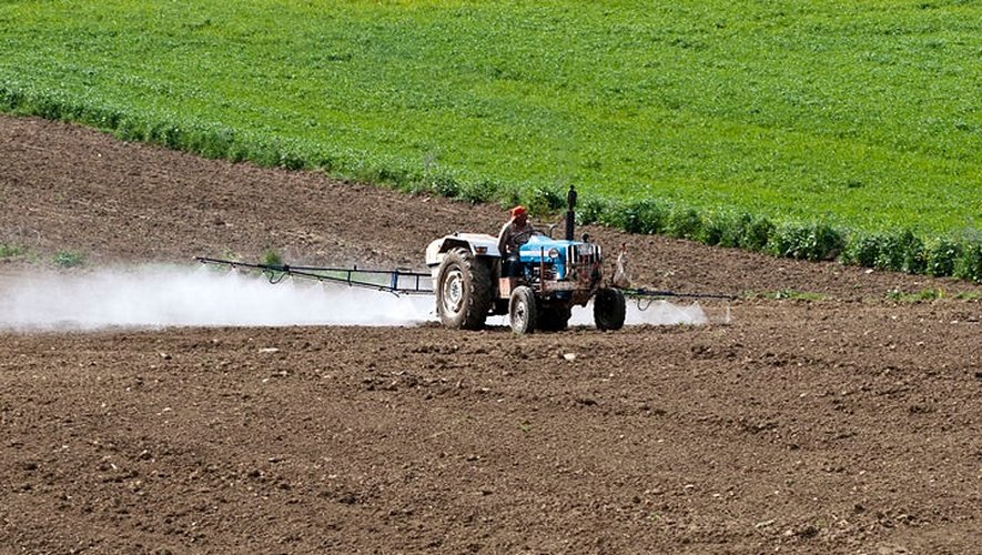 Avec 278 tonnes de pesticides dangereux vendues chaque année en Aveyron, le département arrive en queue de classement.