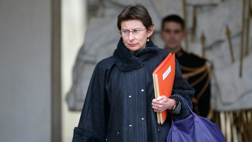 La secrétaire d'Etat à la Réforme de l'Etat Clotilde Valter à la sortie du Conseil des ministres le 27 janvier 2016 à l'Elysée à Paris