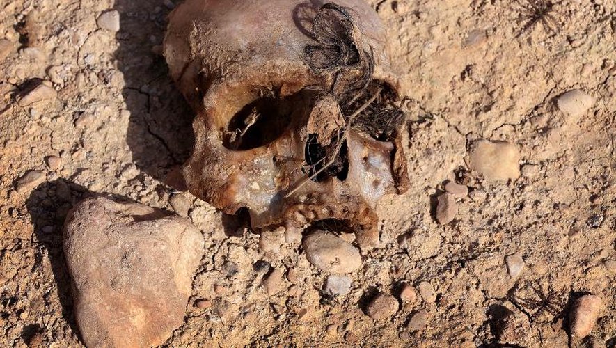 Un crâne retrouvé dans une fosse commune contenant des membres de la communauté yazidie tués par le groupe Etat islamique, le 3 février 2015, près du village irakine de Sinuni, dans la région du Sinjar