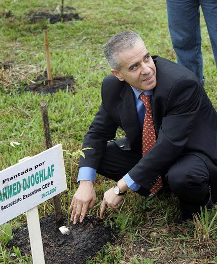 L'Algérien Ahmed Djoghlaf, alors secrétaire exécutif du COP 8, plante un arbre lors d'une cérémonie dans un parc près de Curitiba, au Brésil, le 29 mars 2006