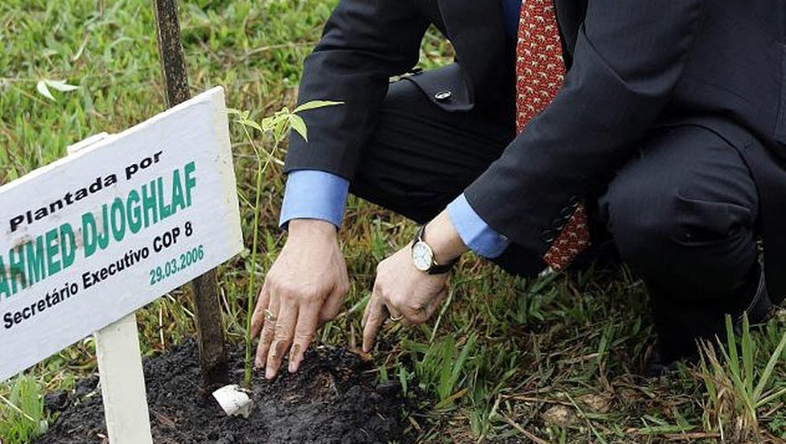 L'Algérien Ahmed Djoghlaf, alors secrétaire exécutif du COP 8, plante un arbre lors d'une cérémonie dans un parc près de Curitiba, au Brésil, le 29 mars 2006