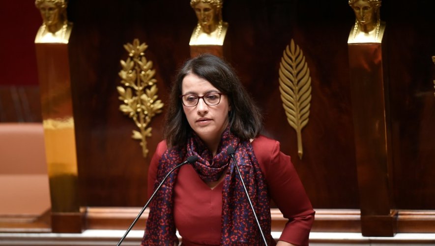 Cécile Duflot le 5 février  2016 à l'Assemblée nationale à Paris