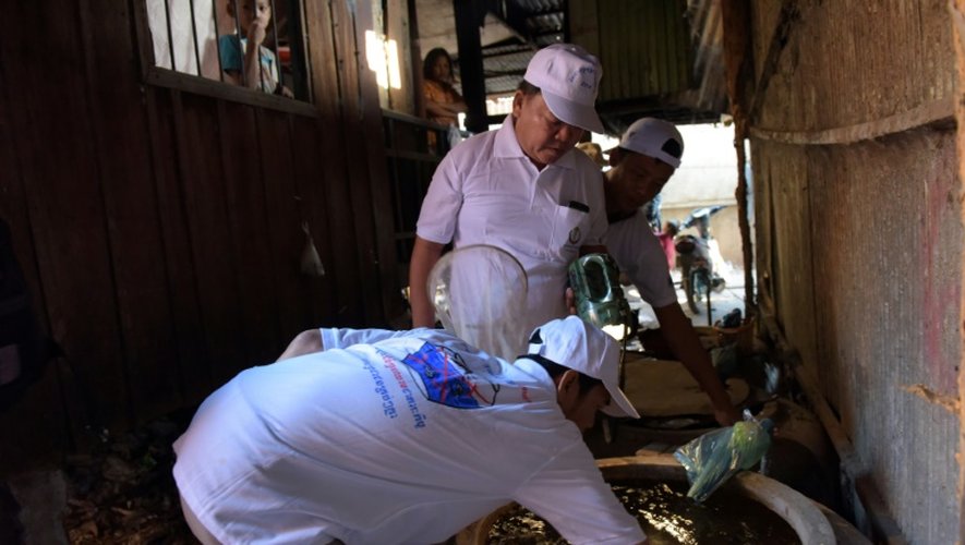 Des agents sanitaires recueillent des larves de moustiques Aedes aegypti, vecteur du virus Zika, le 4 février 2015 à Phnom Penh, au Cambodge