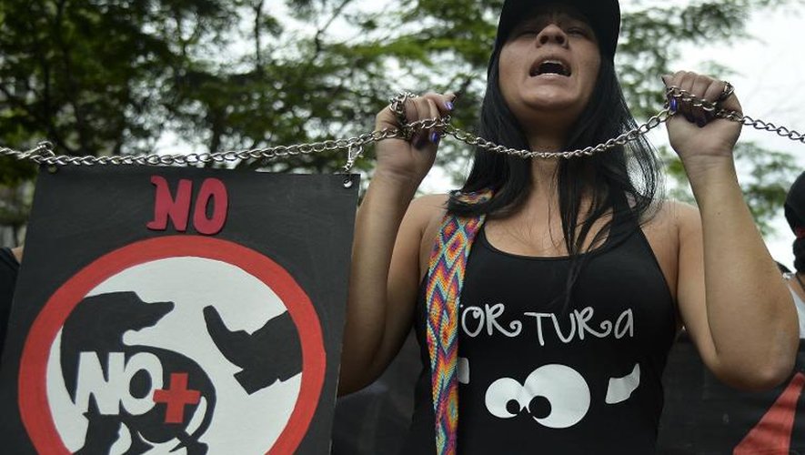Manifestation le 8 février 2015 à Medellin, en Colombie, contre la maltraitance animale