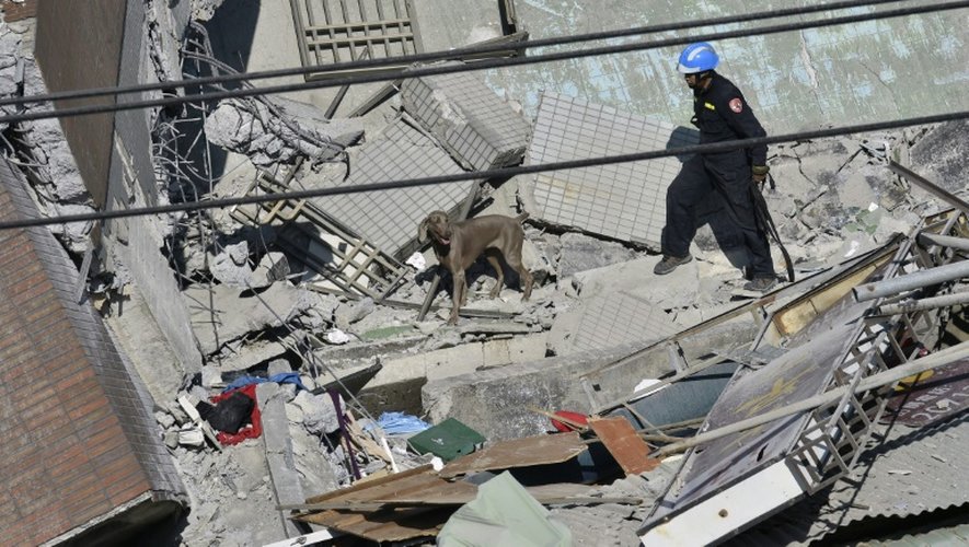 Un secouriste cherche encore avec un chien d'éventuels survivants, le 8 février 2016 dans les décombres d'un immeuble dans le sud de Taïwan