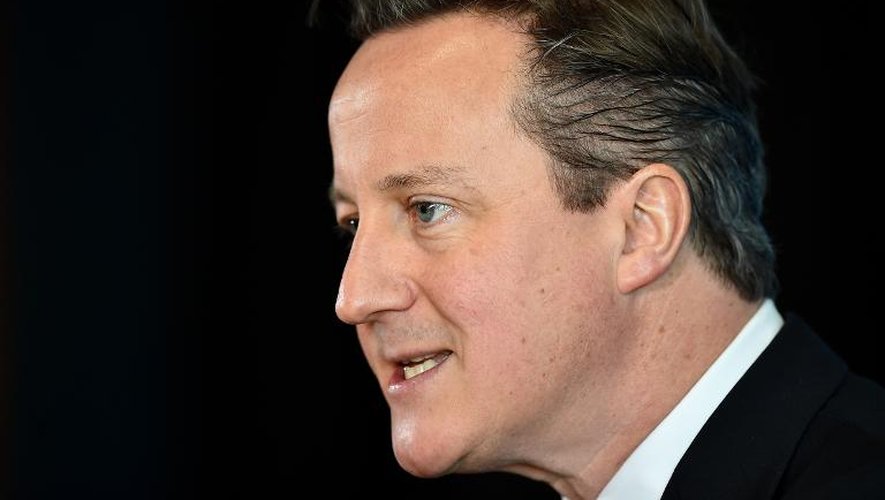 Le premier ministre britannique David Cameron le 17 février 2015
