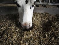 Cause et victime du réchauffement, l'agriculture est aussi sa solution