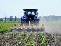 Quiz : testez vos connaissances sur l'agriculture aveyronnaise