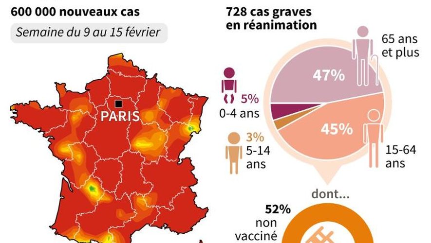 Carte de l'épidémie de grippe en France la 2e semaine de février et chiffres des hospitalisations