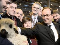 François Hollande au salon de l'Agriculture sous haute sécurité