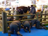 Salon de l'agriculture 2015 : les premières images