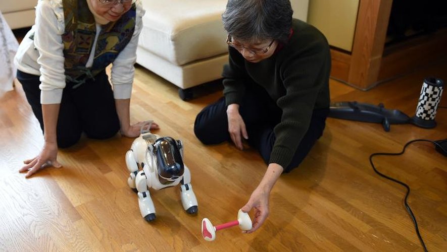Hideko Mori (g) et sa soeur Yasuko jouent avec leur chien robot AIBO, le 26 janvier 2015 à Tokyo