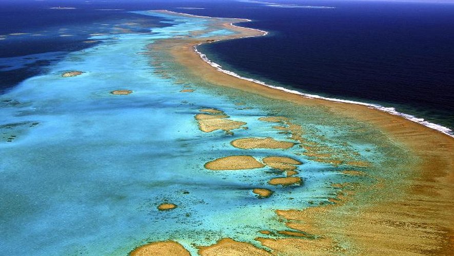 Photo prise le 13 juin 2006 de la barrière de corail de Nouvelle-Calédonie, l'une des plus vastes au monde