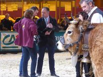 EN IMAGES. Le concours de la race aubrac vu par son juge aveyronnais