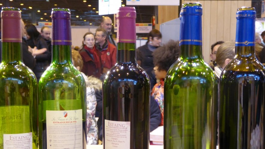 EN IMAGES. Les vins de l'Aveyron à l'épreuve des papilles parisiennes