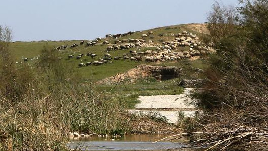 Vue prise le 26 février 2015 de l'oued Wadi Gaza - ou Nahal Bessor - qui prend sa source dans le sud de la Cisjordanie, traverse Israël et le désert du Néguev, entre dans Gaza et se jette dans la Méditerranée