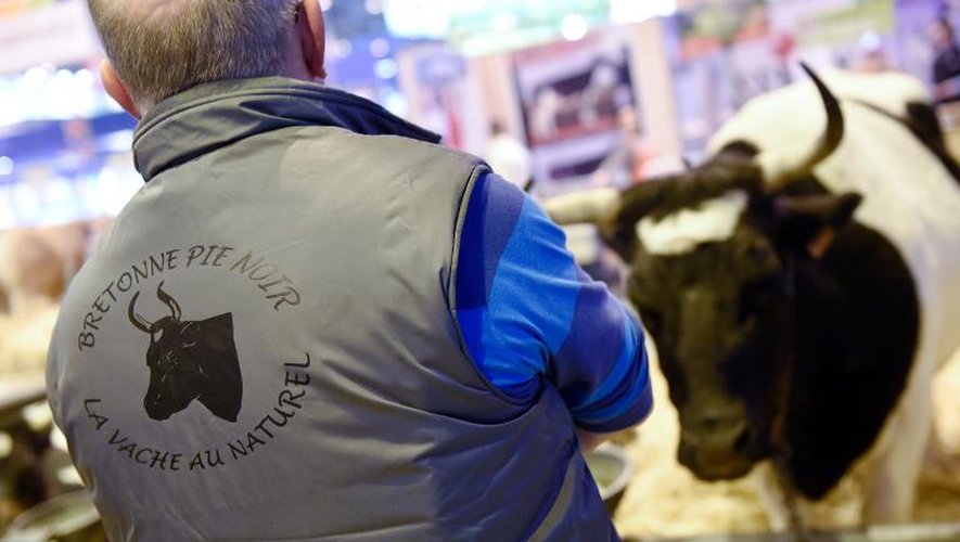 Un éleveur regarde sa vache pie noir durant le 52e Salon de l'agriculture à Paris, le 26 février 2015