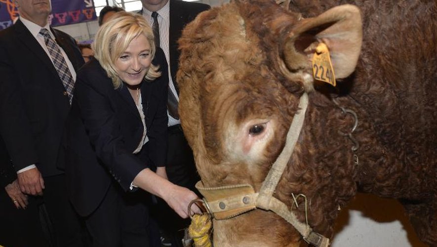 La présidente du FN Marine Le Pen au Salon de l'agriculture à Paris, le 26 février 2015