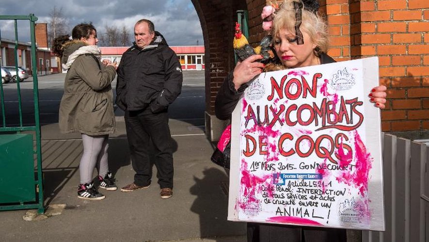Une militante de l'association "Cause Animale Nord" proteste contre l'organisation de combats de coqs le 1er mars 2015 à Gondecourt