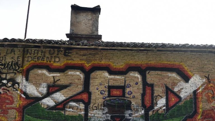 Des graffitis sur les murs d'une ferme désaffectée sur le site de Sivens, le 7 mars 2015