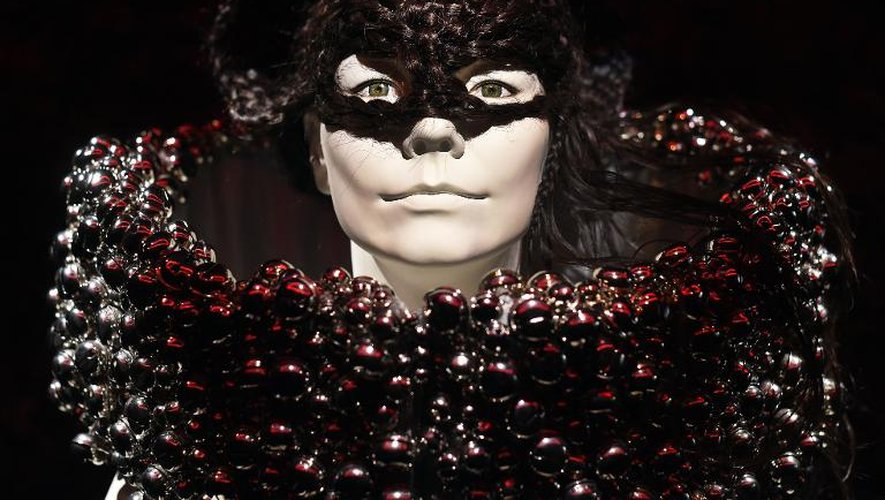 Une des pièces représentant la chanteuse Björk exposée au MoMa à New York, le 3 mars 2015