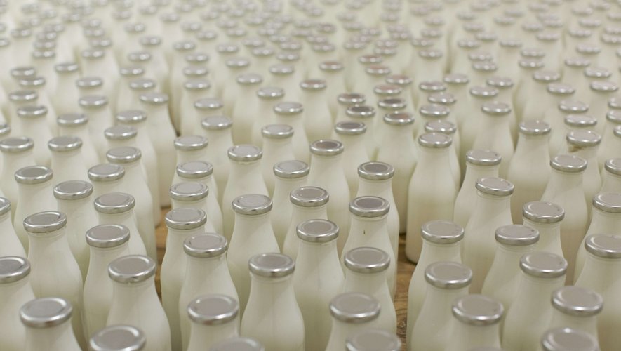 Après presque 31 ans d’exercice, le 31 mars marquera la fin des quotas laitiers en France. En Aveyron, les éleveurs sont prêts.