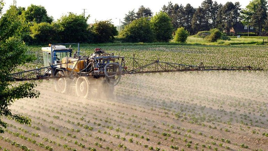 Un agriculture épand des pesticides sur un champ de pommes de terre, dans le nord de la France, en 2012
