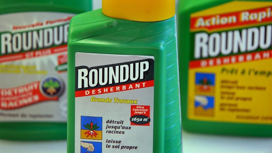 Des bidons de Roundup, un insecticide commercialisé par la société américaine Monsanto