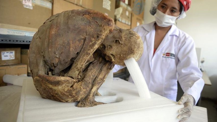 Une chercheuse devant une momie datant de la période pré-inca, dans le musée du site archéologique de Puruchuco, à Lima, le 4 mars 2015