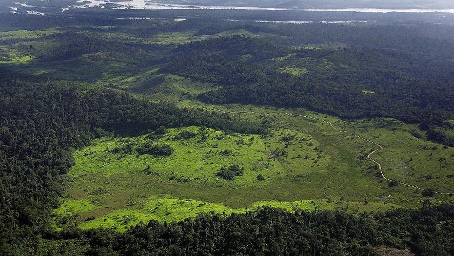 Vue d'une zone touchée par la déforestation dans le nord du Brésil, près de la rivière Xingu, le 19 février 2005