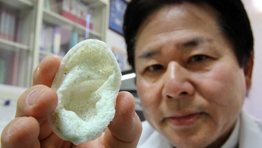 Tsuyoshi Takado, professeur de médecine de l'université de Tokyo montre, dans son laboratoire, une oreille artificielle en acide polylactique (polymère biodégradable), fabriquée grâce à l'impression 3D, le 16 janvier 2015