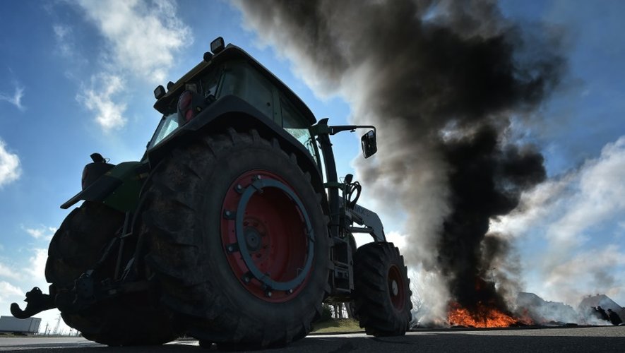 Une manifestation d'agriculteurs à Vendenheim, dans l'est de la France, le 12 février 2016