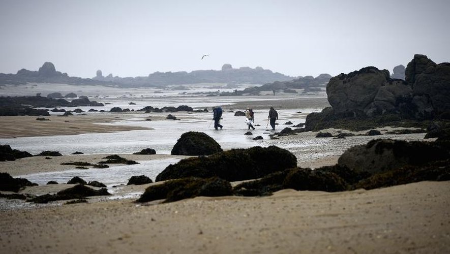 Des ramasseurs de coquillages sur la plage de Granville, en Basse-Normandie, à l'occasion de la "marée du siècle", le 21 mars 2015