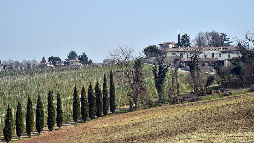Le vignoble de la cave Bepin de Eto, à San Pietro di Feletto, près de Conegliano, le 24 mars 2015